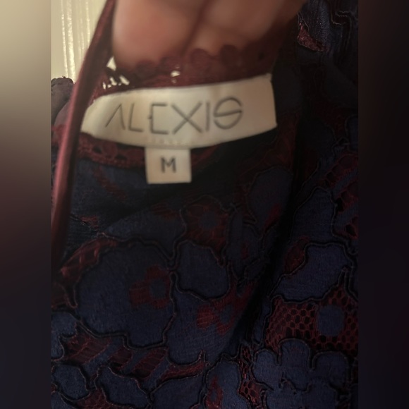 🎉Hp🎉Alexis mid sleeve lined lace dress - Picture 5 of 8